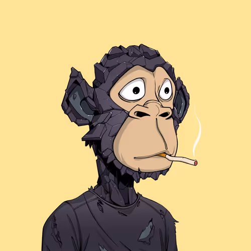 Tribe Odyssey