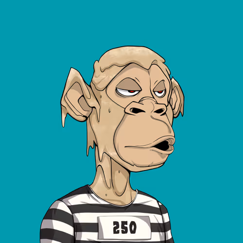 Tribe Odyssey