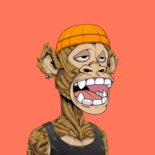 Tribe Odyssey