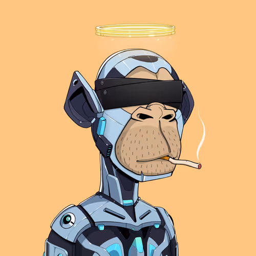 Tribe Odyssey