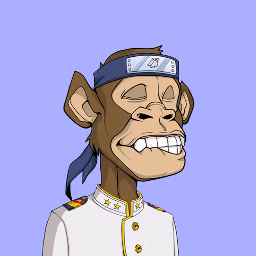 Tribe Odyssey