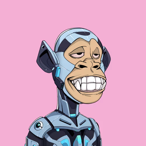 Tribe Odyssey