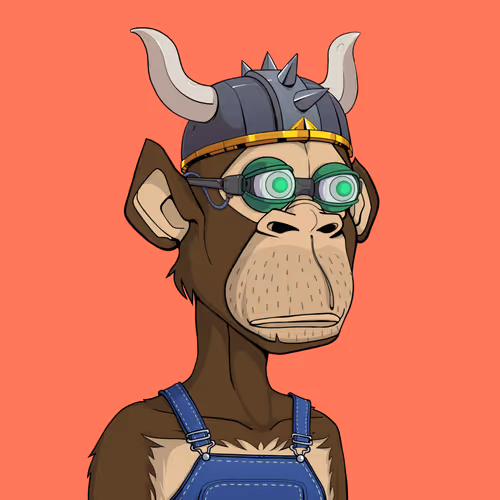 Tribe Odyssey