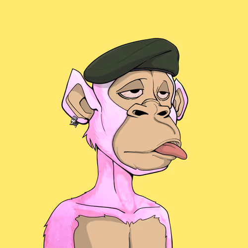 Tribe Odyssey