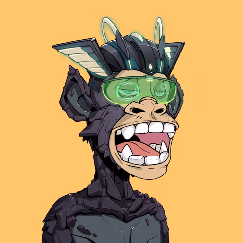 Tribe Odyssey