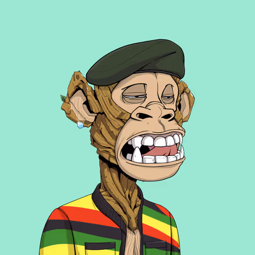 Tribe Odyssey