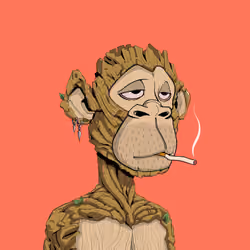 Tribe #3376