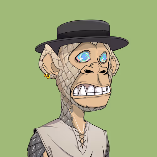 Tribe Odyssey