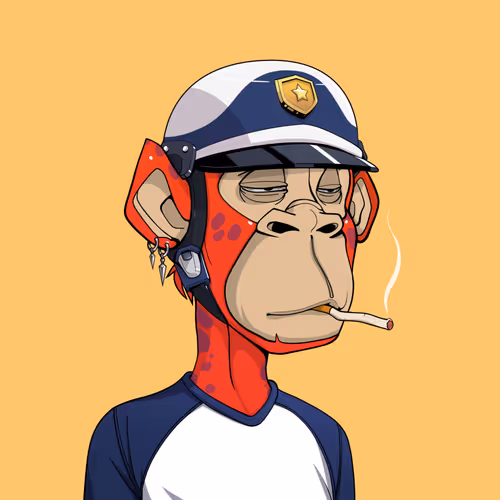 Tribe Odyssey