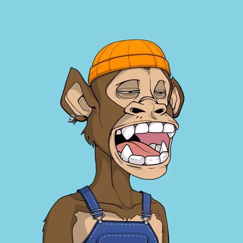 Tribe Odyssey