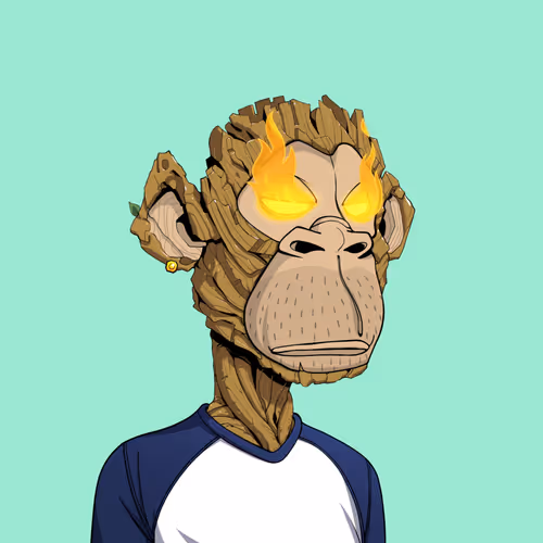 Tribe Odyssey