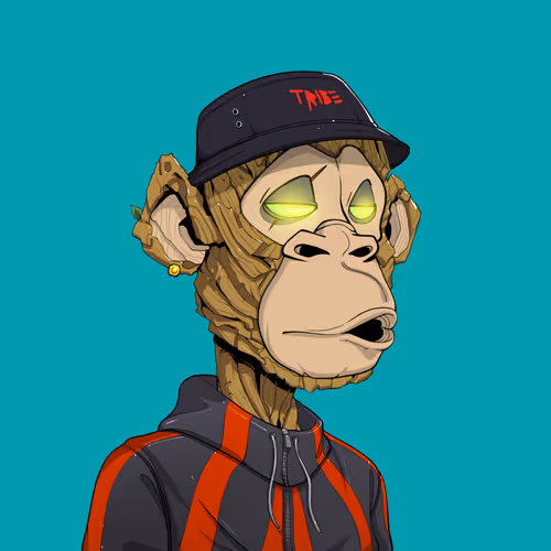 Tribe Odyssey