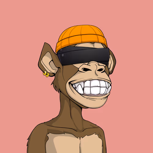 Tribe Odyssey