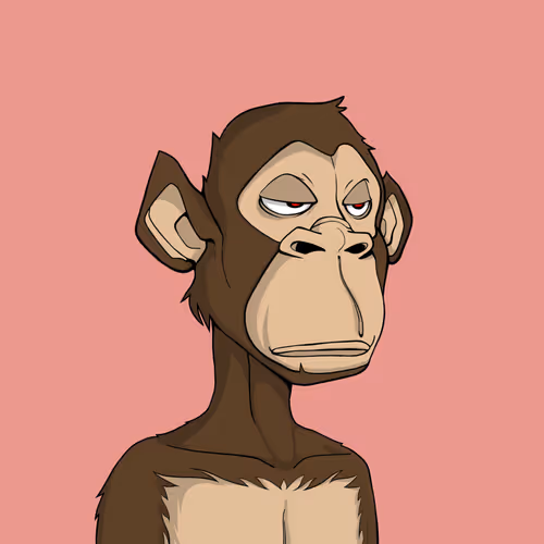 Tribe Odyssey