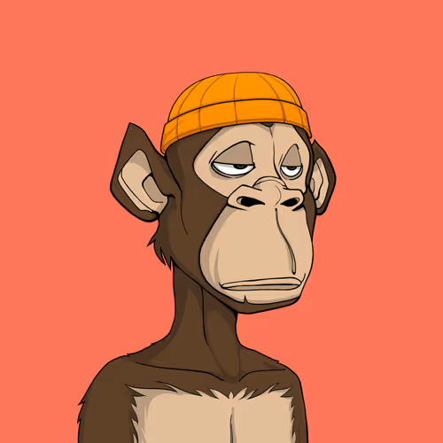 Tribe Odyssey