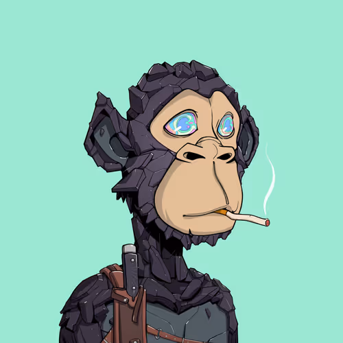 Tribe Odyssey