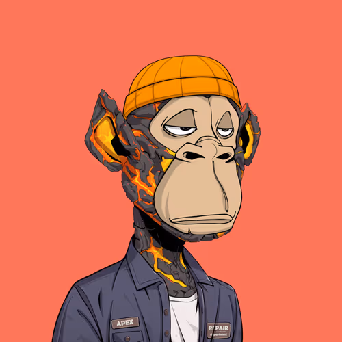 Tribe Odyssey