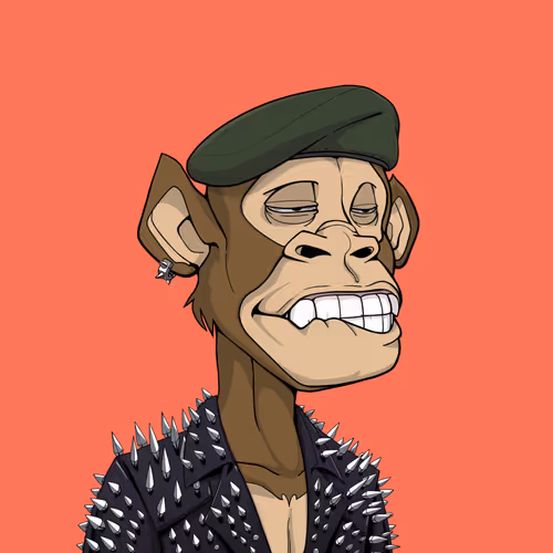 Tribe Odyssey