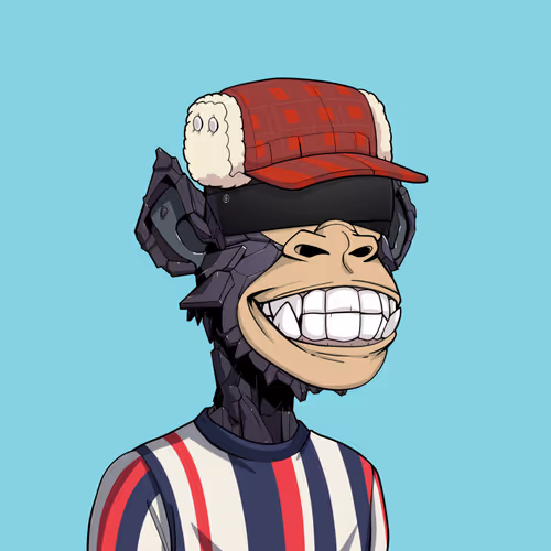Tribe Odyssey