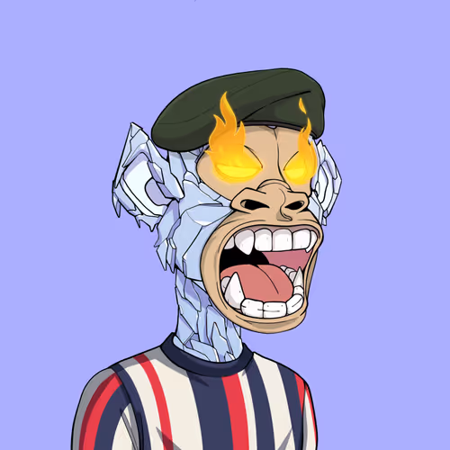 Tribe Odyssey