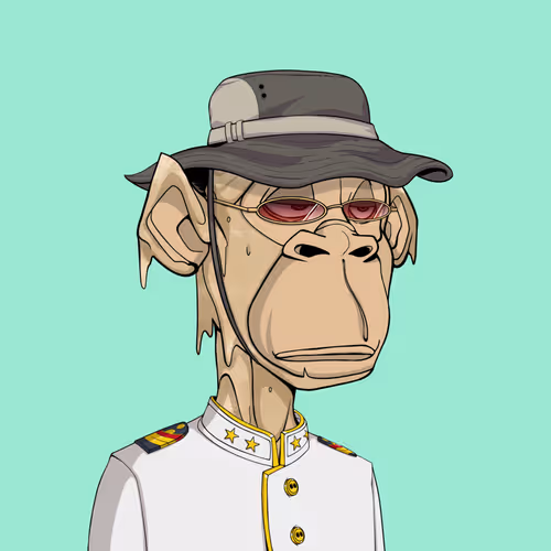 Tribe Odyssey