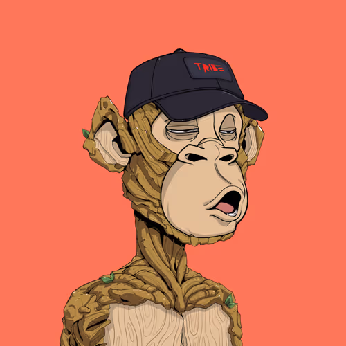 Tribe Odyssey
