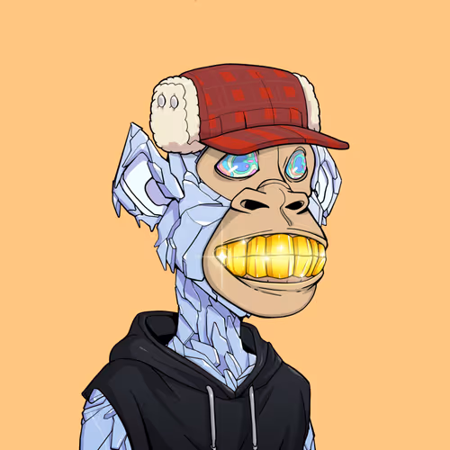 Tribe Odyssey
