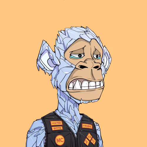 Tribe Odyssey