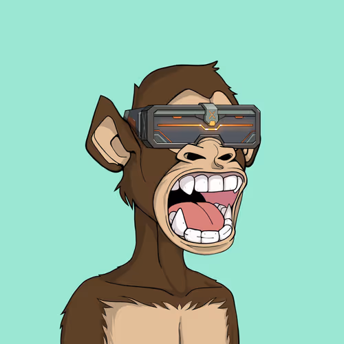 Tribe Odyssey