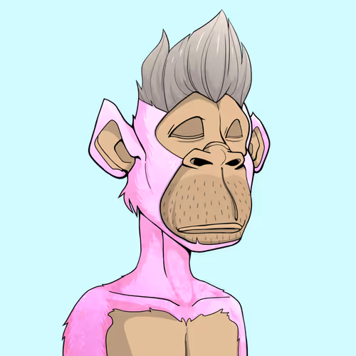 Tribe Odyssey