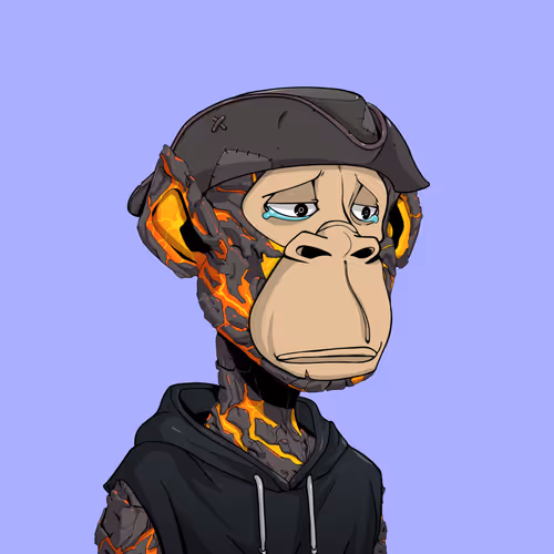 Tribe Odyssey