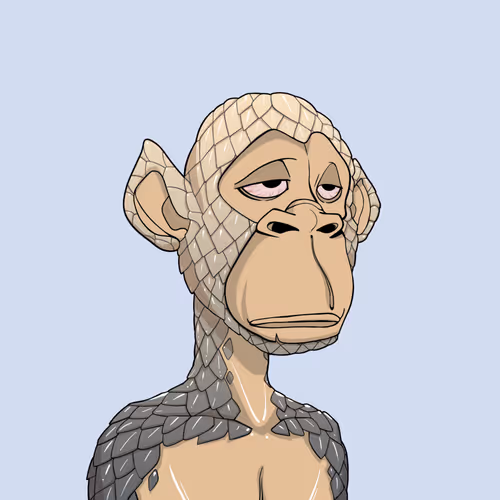 Tribe Odyssey