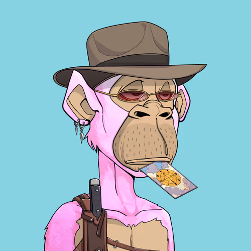 Tribe Odyssey