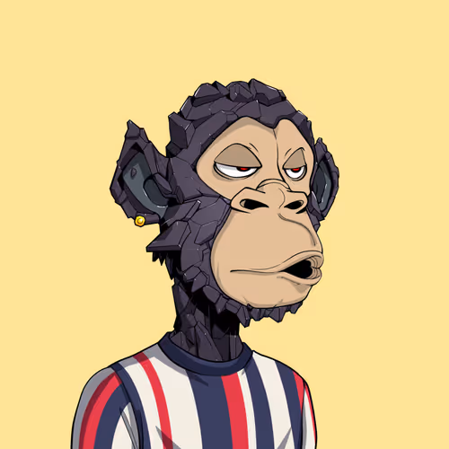Tribe Odyssey