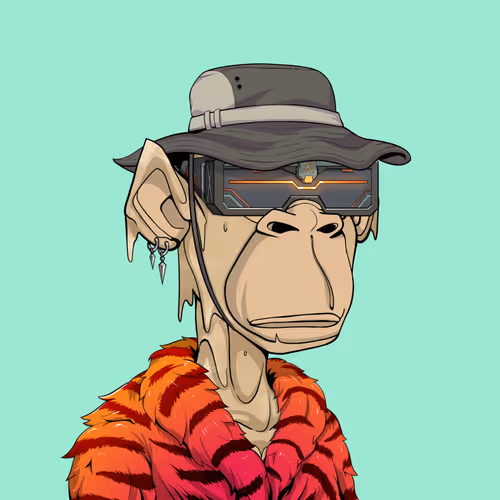 Tribe Odyssey