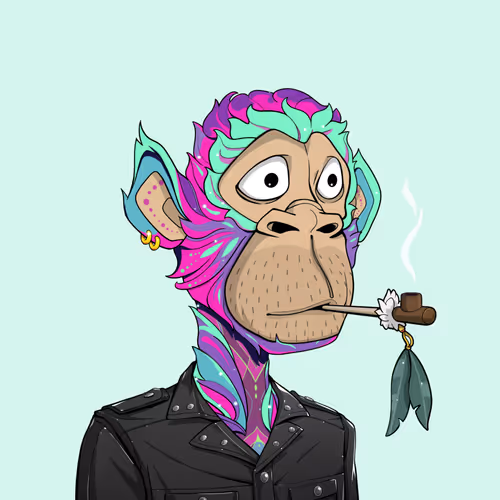Tribe Odyssey