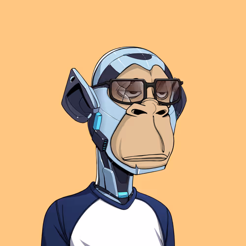 Tribe Odyssey