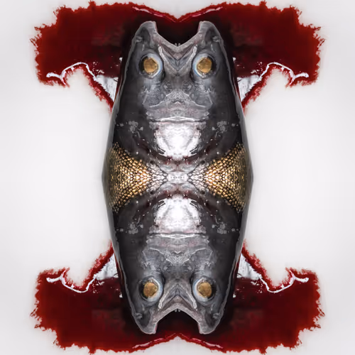 WTF - Why This Frame V2