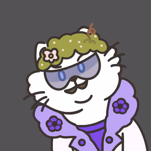 Schrtdingers Cat Nft