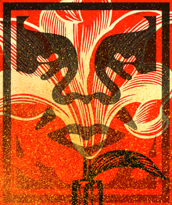 DEGENERATE/REGENERATE #4016