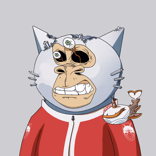 Boredkitaroyachtclub