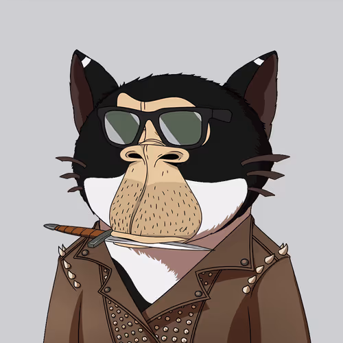 Boredkitaroyachtclub