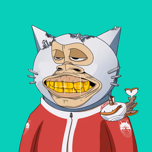 Boredkitaroyachtclub