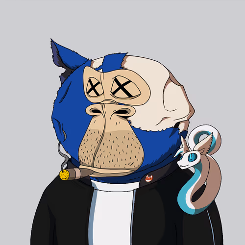 Boredkitaroyachtclub