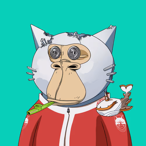 Boredkitaroyachtclub