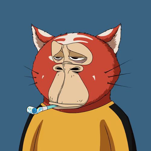 Boredkitaroyachtclub