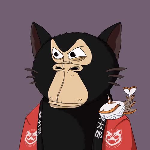 Boredkitaroyachtclub