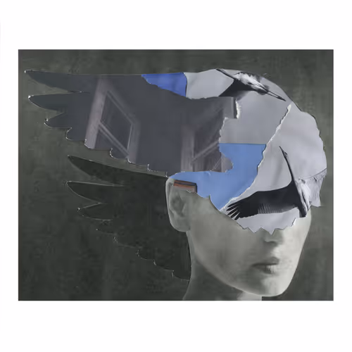 Item #11 Media