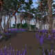 Four seasons in the pine forest