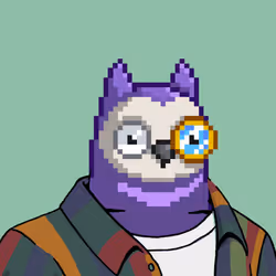 264